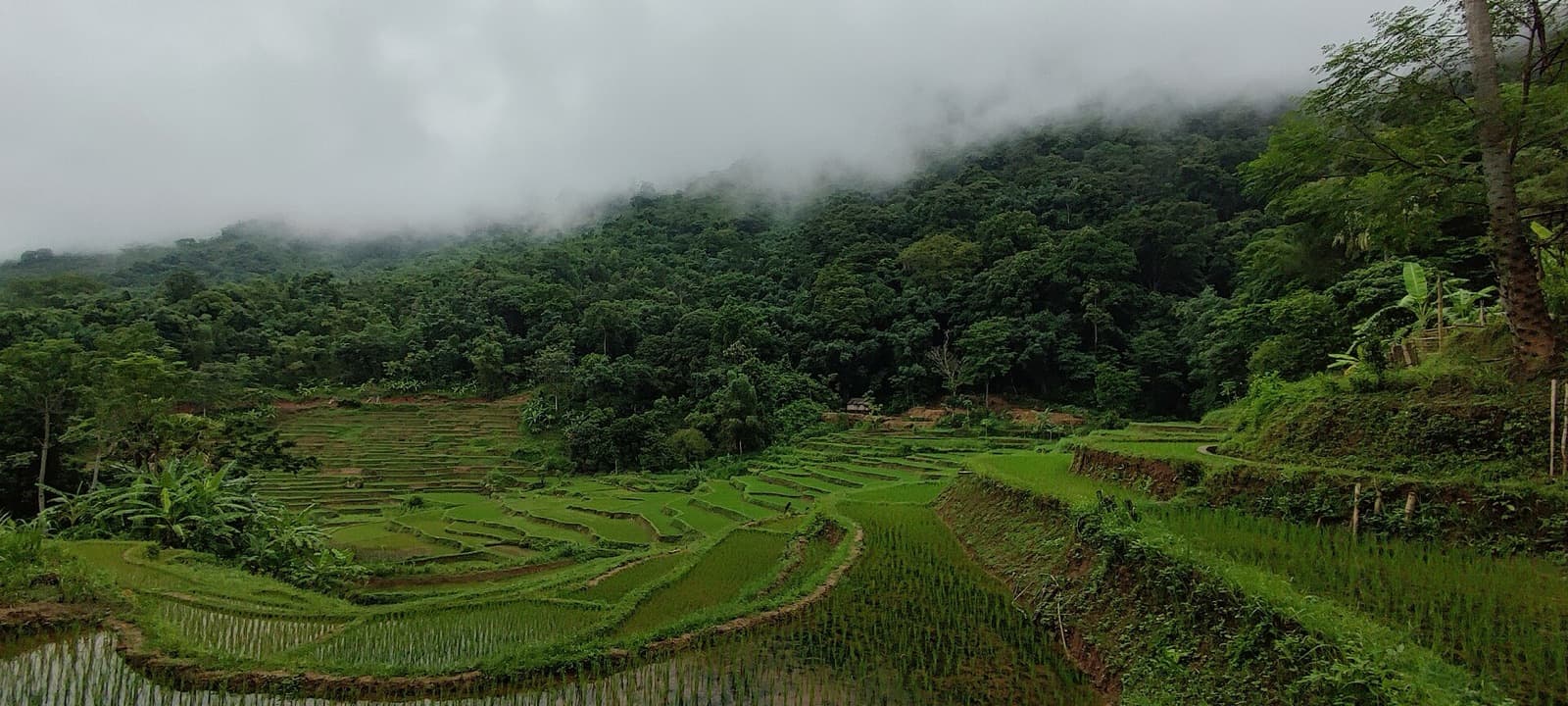 Mai Châu