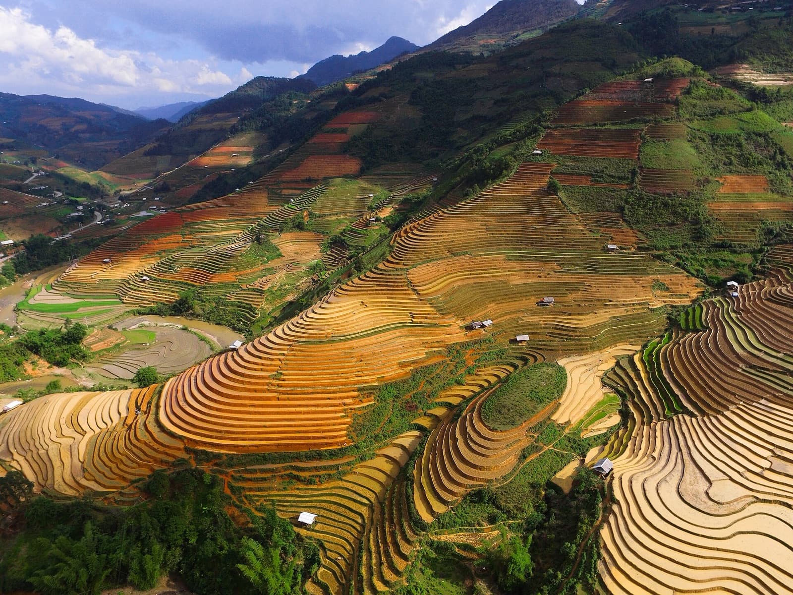 Mù Cang Chải