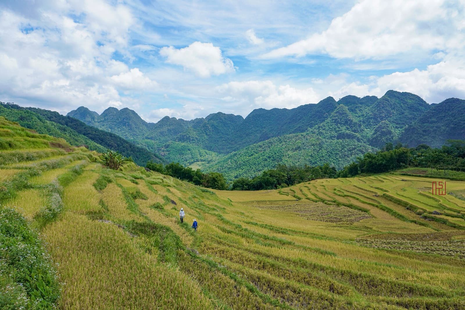 Pù Luông